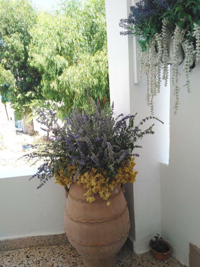 Tilos Island House Megálon Choríon المظهر الخارجي الصورة